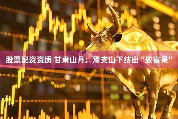 股票配资资质 甘肃山丹：焉支山下结出“致富果”