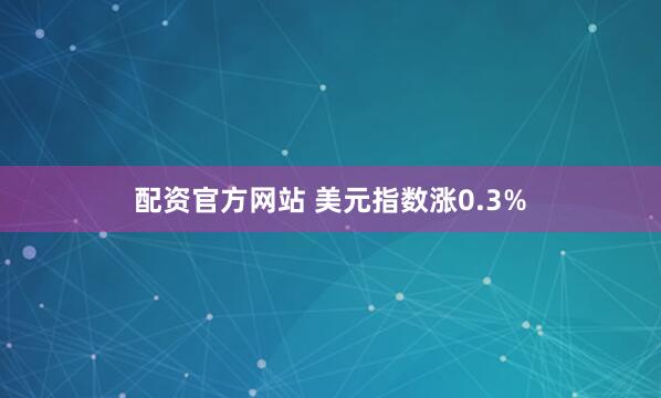 配资官方网站 美元指数涨0.3%